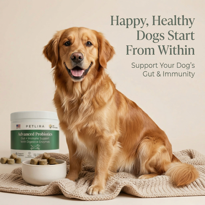 Petlira GutBalance™ Chews